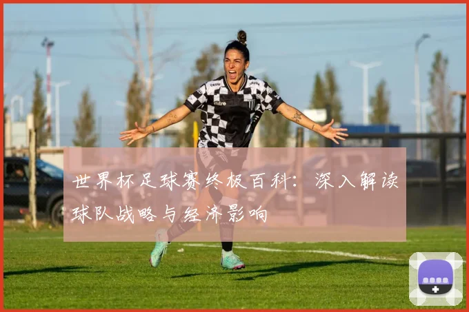世界杯足球赛终极百科：深入解读球队战略与经济影响