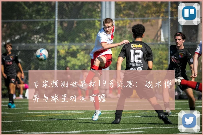 专家预测世界杯19号比赛:战术博弈与球星对决前瞻