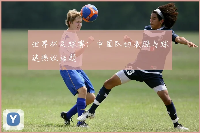 世界杯足球赛：中国队的表现与球迷热议话题